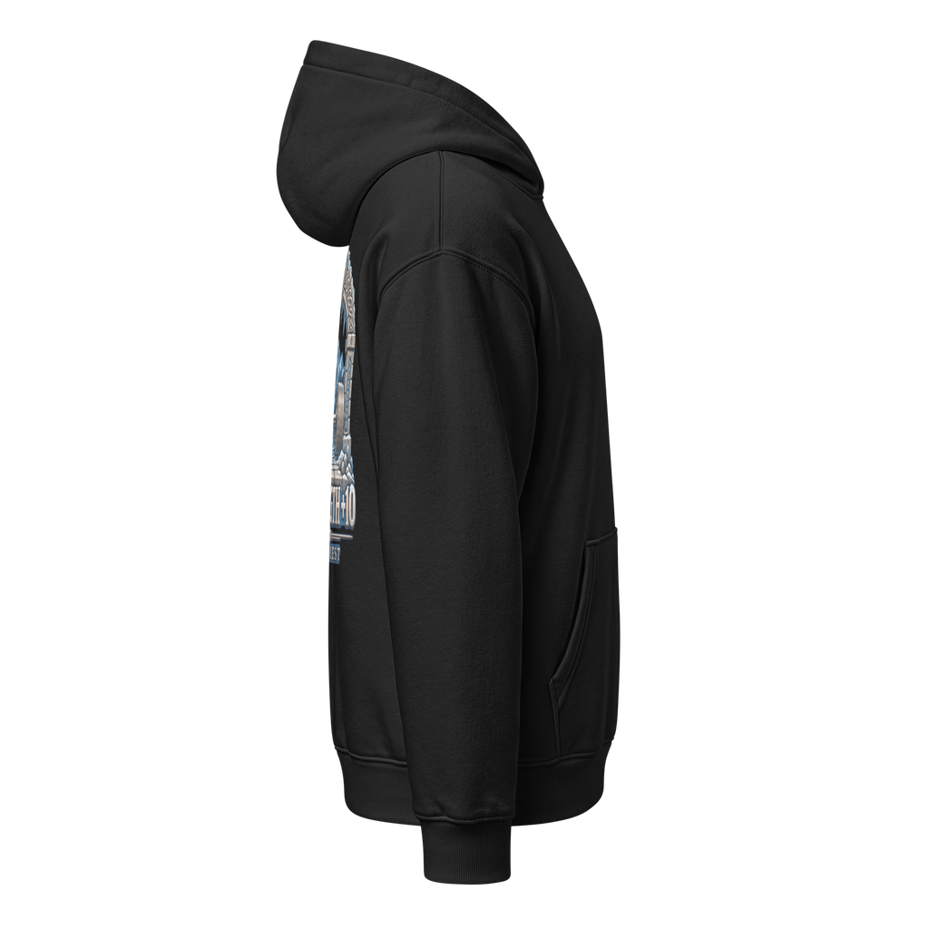 SQ Crest +10 Strength Relaxed Hoodie product image 6